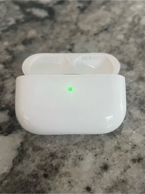 Apple AirPods Pro 1st Generation Charging Case (A2190)